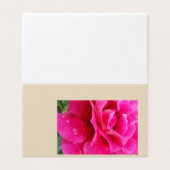 pink rose petals (Outside Unfolded)
