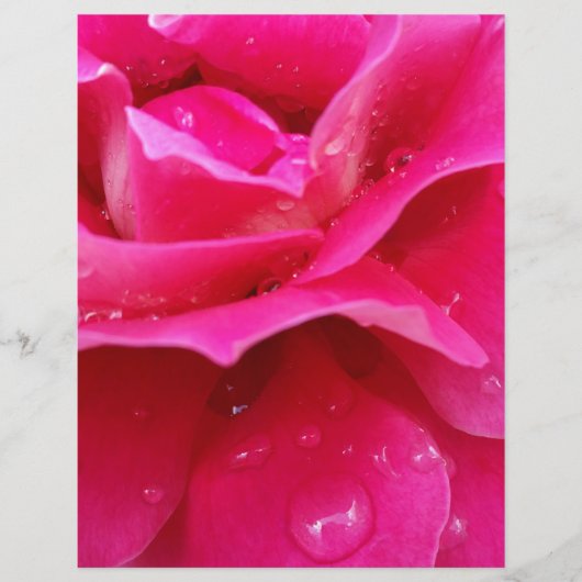 pink rose petals (Front)