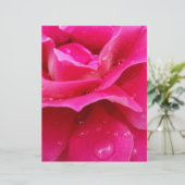 pink rose petals (Standing Front)
