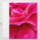 pink rose petals (Front/Back)