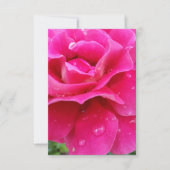 pink rose petals (Front)