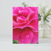 pink rose petals (Standing Front)