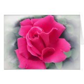 Pink Rose Petals (Front Horizontal)