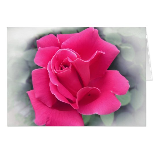 Pink Rose Petals Cards (Front Horizontal)