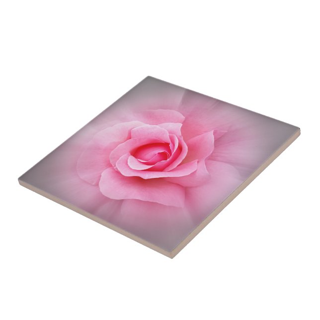 Pink rose petals ceramic tile (Side)
