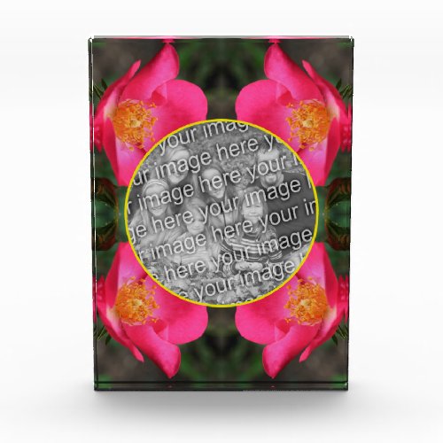 Pink Rose Petals Frame Create Your Own  Photo Block