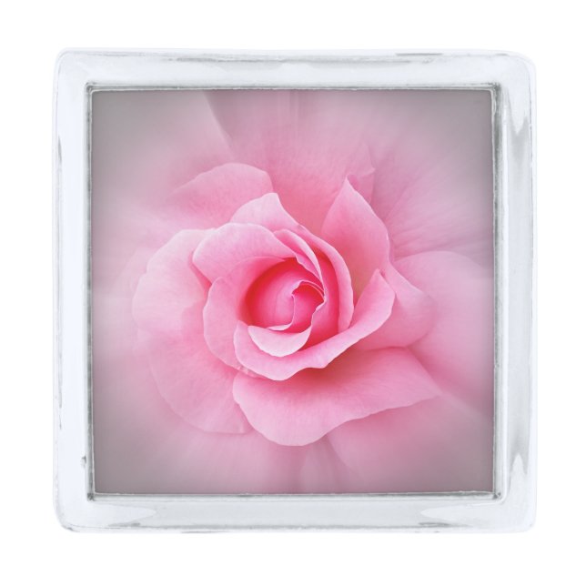 Pink rose petals silver finish lapel pin (Front)