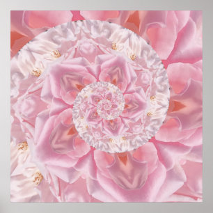 Pink Rose Petals Spiral of Love Digital Artwork Poster