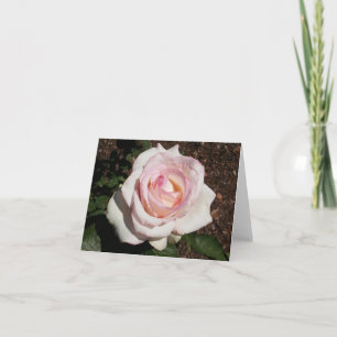 Pink Rose Photo Folded Note Card