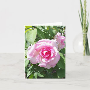 Pink Rose Photo Folded Note Card