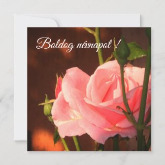 Pink rose photo  - Hungarian name day