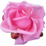 Pink Rose Photo Sculpture<br><div class="desc">A pink rose that I found in Portland, Oregon. Two unopened buds with the isolated image.</div>