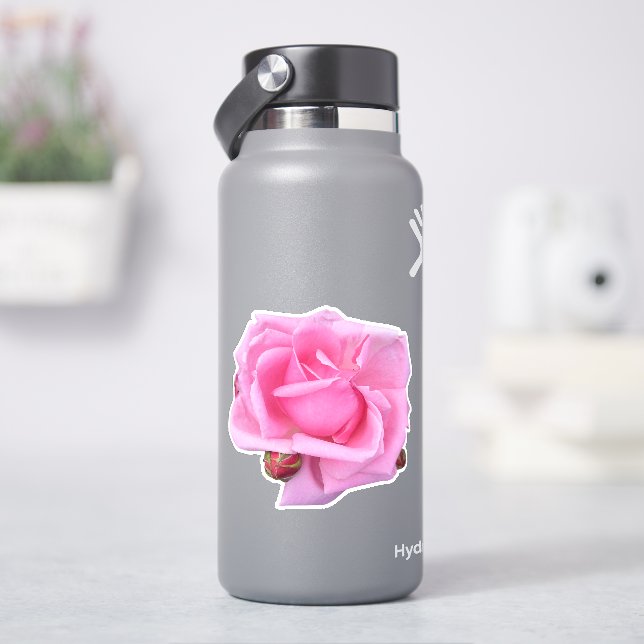 Pink Rose Photo Sticker (HydroFlask)