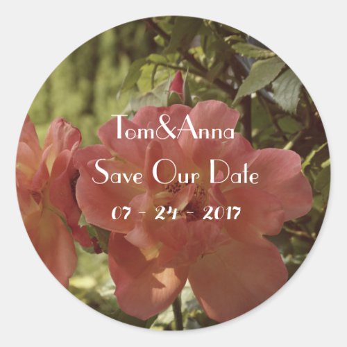 Pink Rose photography Save the date Sticker