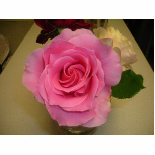 PINK ROSE (PHOTOSCULPTURE) STATUETTE