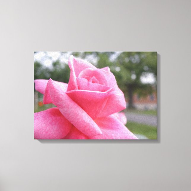 pink rose picture canvas print (Front)
