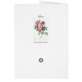 Pink Rose Pierre-Joseph Redoute Greeting Card (Back)