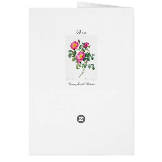 Pink Rose Pierre-Joseph Redoute Greeting Card (Back)