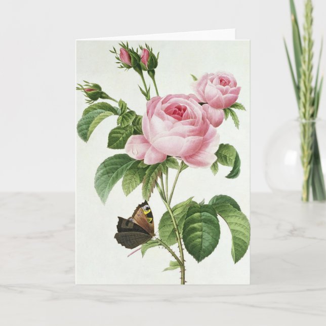 Pink Rose Pierre-Joseph Redoute Greeting Card (Front)