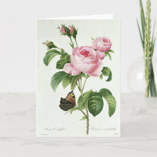 Pink Rose Pierre-Joseph Redoute Greeting Card