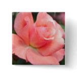 Pink Rose Pin