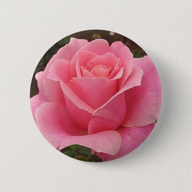 Pink Rose Pinback Button (Front)