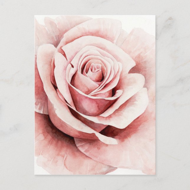 Pink Rose Postcard (Front)