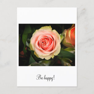 Pink rose postcard
