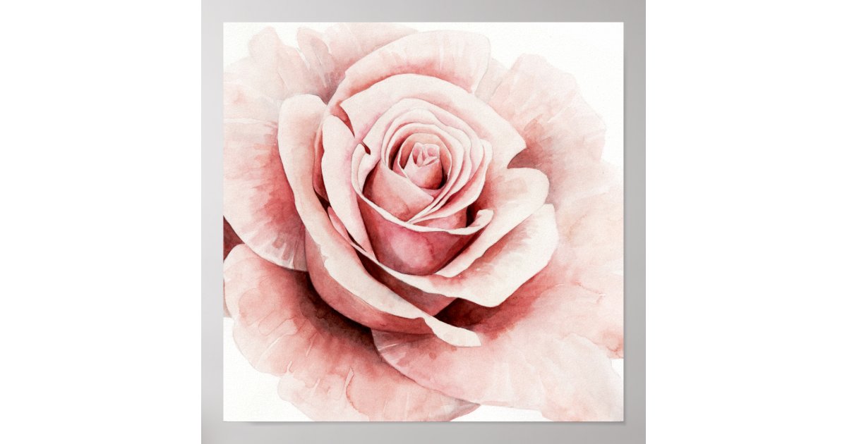Pink Rose Poster | Zazzle