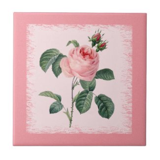 Pink Rose Redoute Ceramic Tile