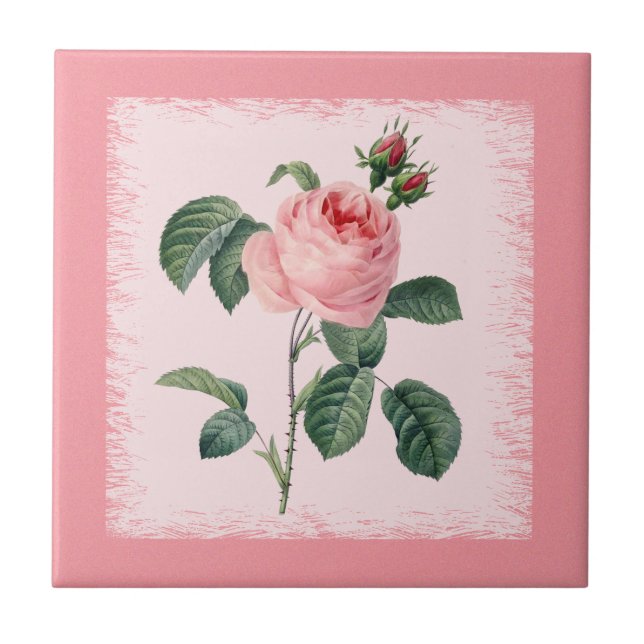 Pink Rose Redoute Ceramic Tile (Front)