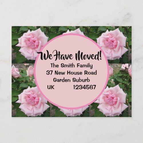 Pink Rose Rose New Address Postcard We Are Moving Postcard