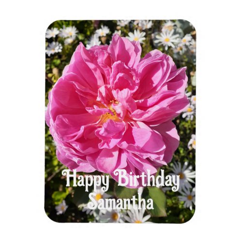 Pink Rose Roses Flower flowers Floral Birthday