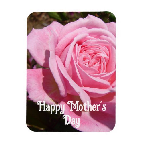 Pink Rose Roses Flower flowers Floral Mothers Day