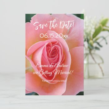 Pink Rose Save The Date Card by Koobear at Zazzle