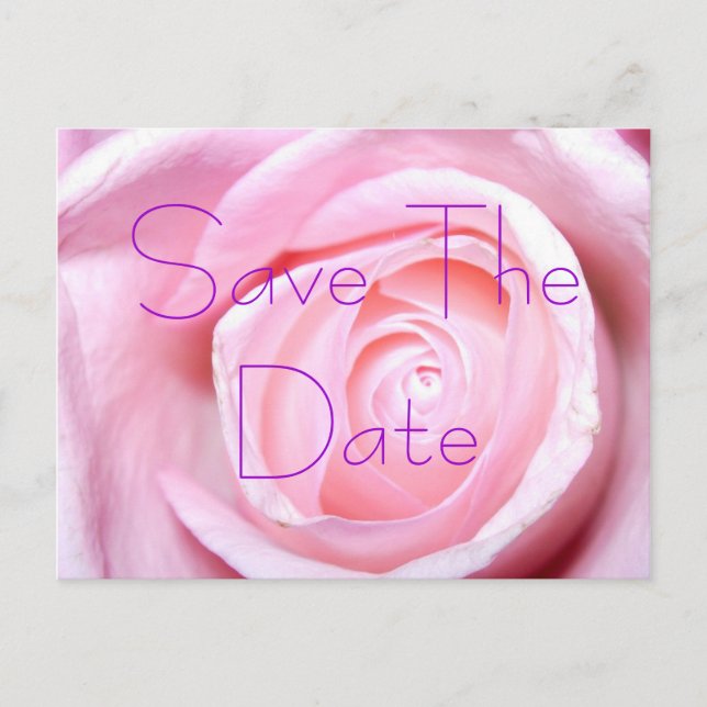 Pink Rose, Save The Date Postcard (Front)