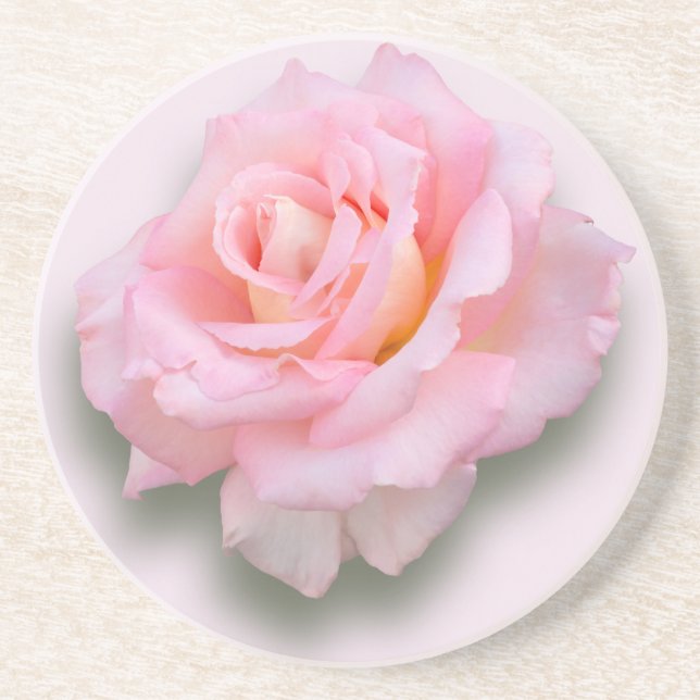 Pink Rose 'Scentsation' Sandstone Coaster (Front)