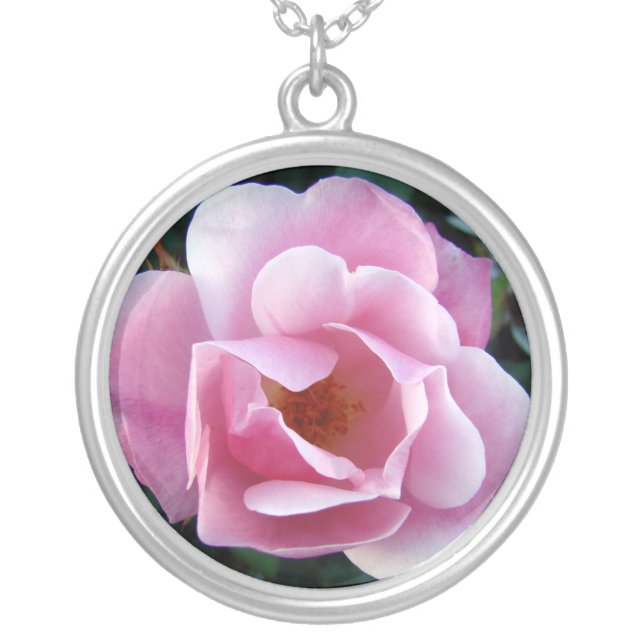 Pink Rose Silver Plated Necklace (Front)