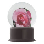 Pink Rose Snow Globe