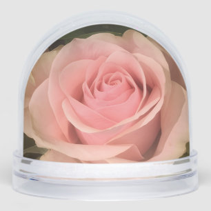 Pink Rose Snow Globe