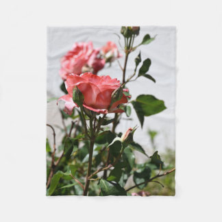 Pink Rose Soft Blanket