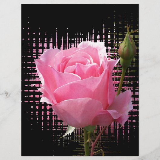 pink rose splash (Front)