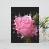pink rose splash (Standing Front)