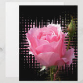 pink rose splash (Front/Back)