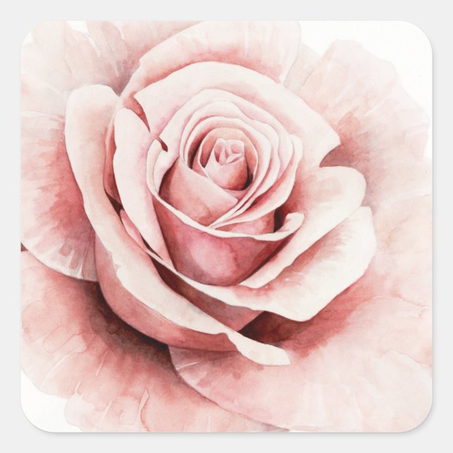Pink Rose Square Sticker (Front)