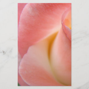 Pink Rose Stationery Personalize Floral gifts