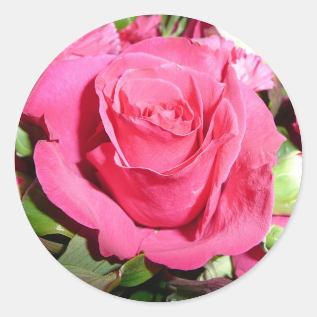 Pink Rose Sticker (Front)