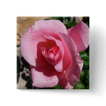 Pink Rose Sunny Garden Floral Button