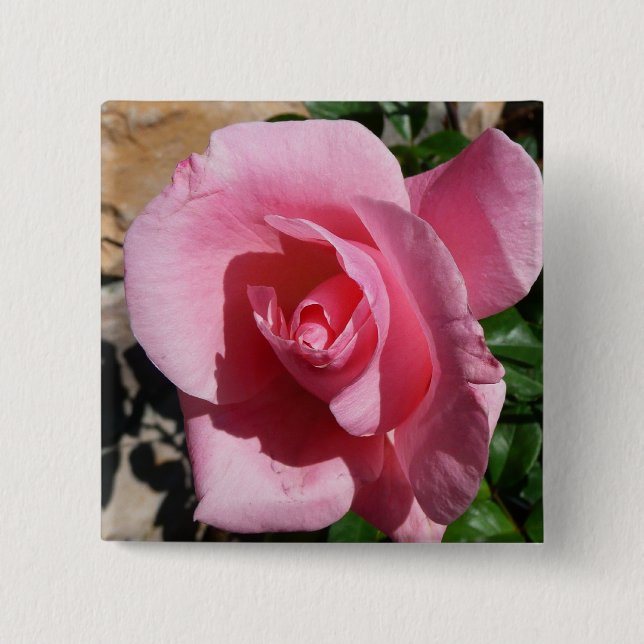 Pink Rose Sunny Garden Floral Button (Front)