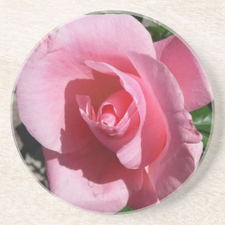 Pink Rose Sunny Garden Floral Drink Coaster